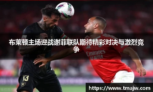 布莱顿主场迎战谢菲联队期待精彩对决与激烈竞争